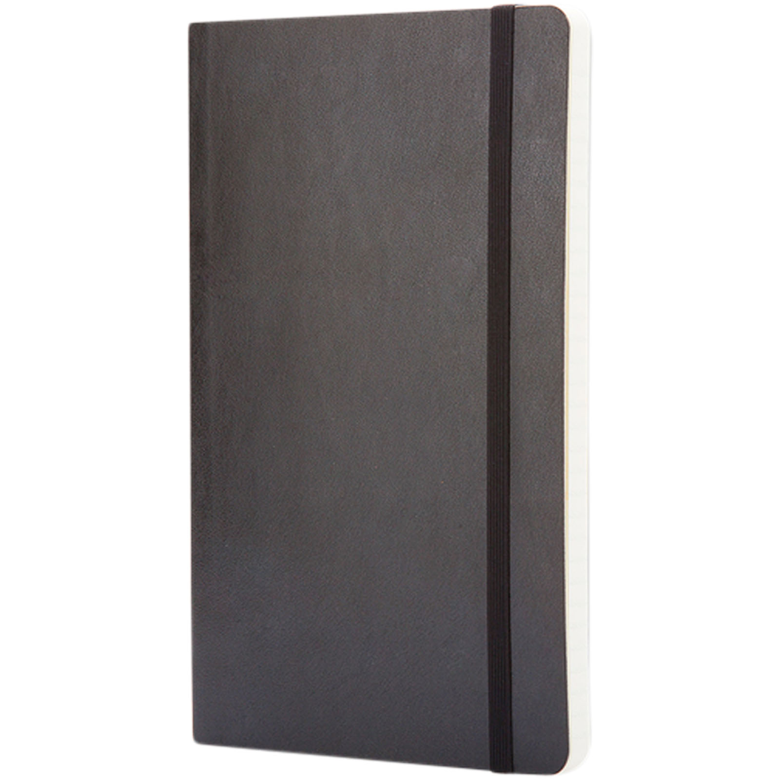 Classic Softcover Notizbuch L – kariert