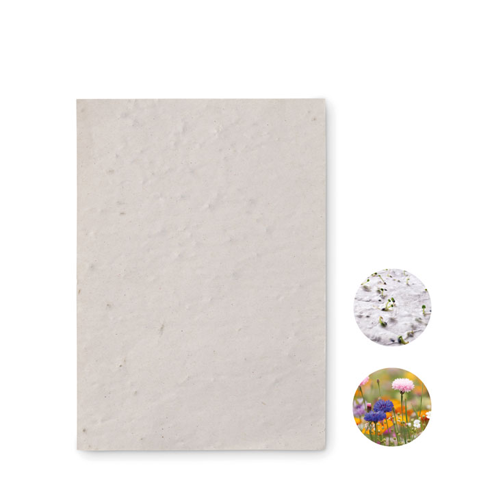 EcoSeeds Papier - Bad Aussee