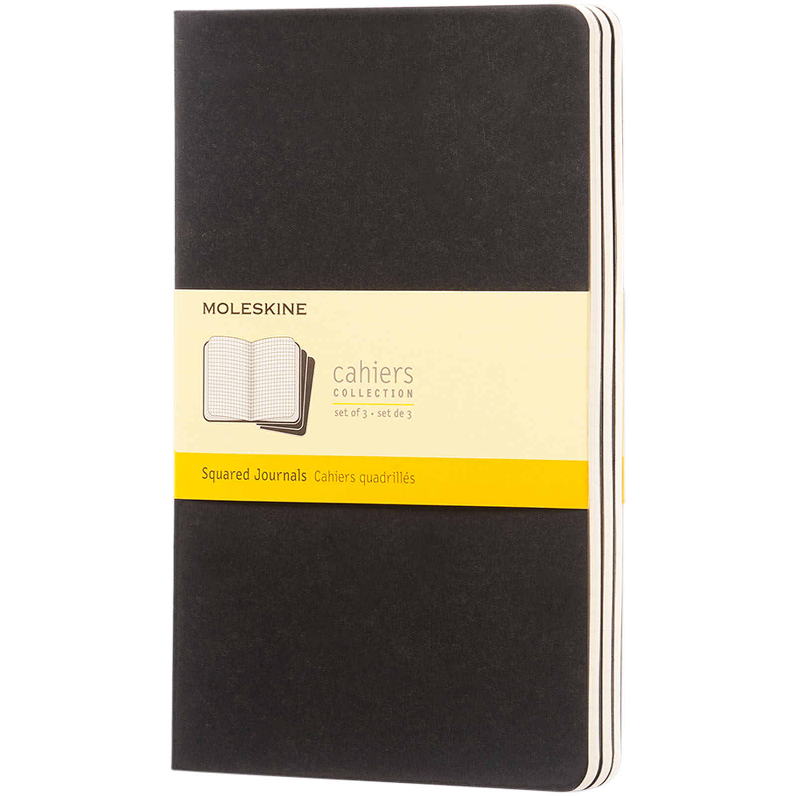 Moleskine Tagebuch Heft L - kariert